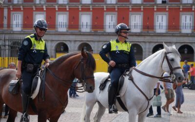 Guía Completa para la ITE: Servicios de Inspección Técnica de Edificios en el Ayuntamiento de Madrid