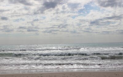 Consulta ITE Valencia: Todo lo que Necesitas Saber para una Inspección Técnica de Edificios Exitosa