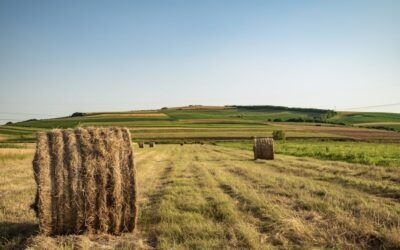 ¿Cuándo Hay que Pasar la ITE en Madrid? Guía Completa para Cumplir con la Inspección Técnica de Edificios