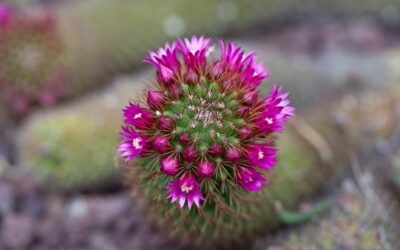 Mejora la Seguridad de tu Edificio: Ayuda Experta para la ITE en Madrid