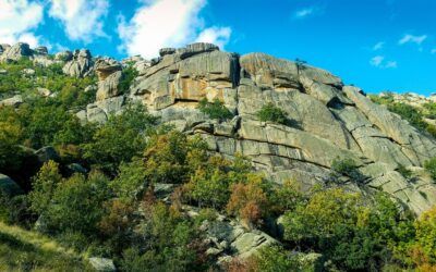 Obligatoriedad ITE Madrid: Todo lo que Necesitas Saber sobre la Inspección Técnica de Edificios