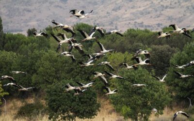 Reformas ITE Madrid: Optimiza la Seguridad y Valor de tu Edificio con Nuestro Servicio de Arquitectura